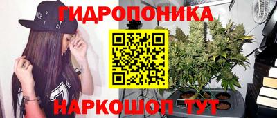 дмт Ипатово