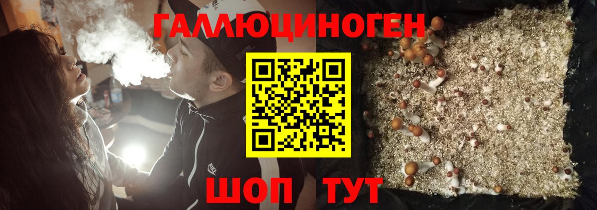 Галлюциногенные грибы мухоморы Дальнегорск