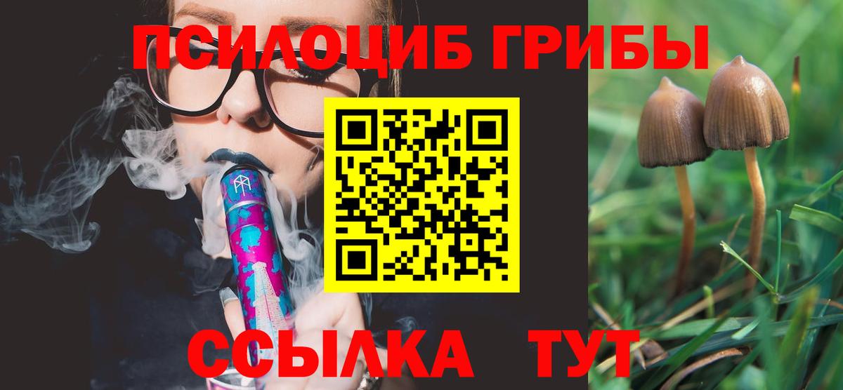 Дальнегорск  Галлюциногенные грибы прущие грибы  Вход с VPN  Галлюциногенные грибы Magic Shrooms 